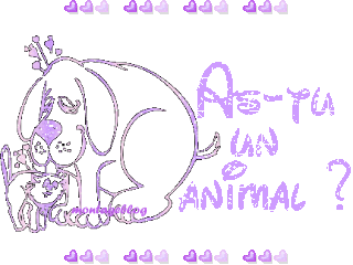 animal