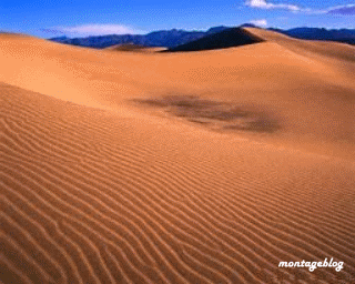 sahara