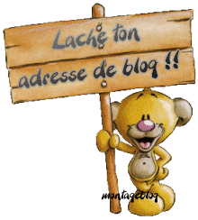 lache ton adrs de blog