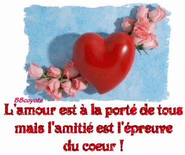 amour