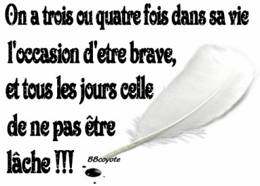 brave lache
