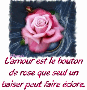 une rose