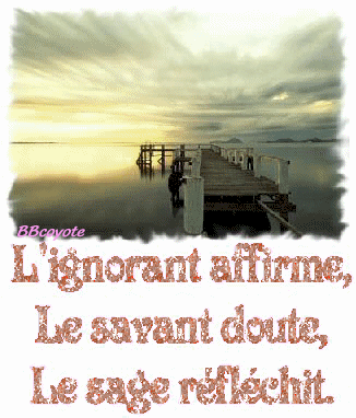 ignorant savant sage