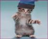 chat