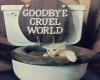 adieu