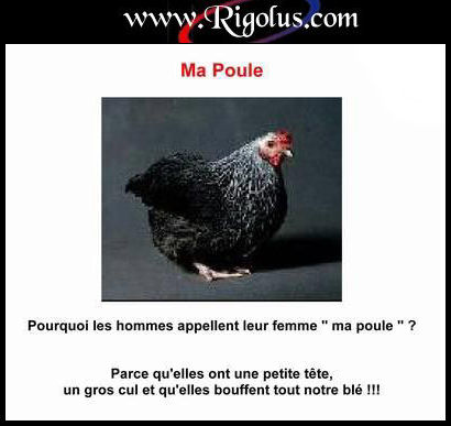 Ma poules
