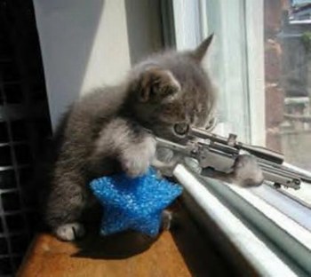 Chat
