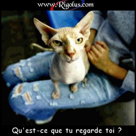 u'est tu regarde