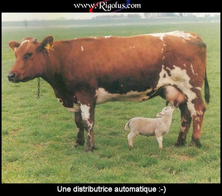 distributeur
