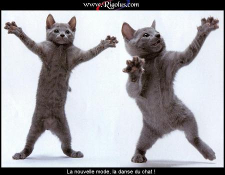 danse