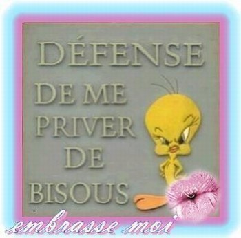 embrasse moi