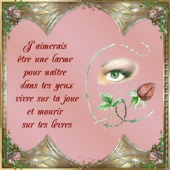 j'aimerais